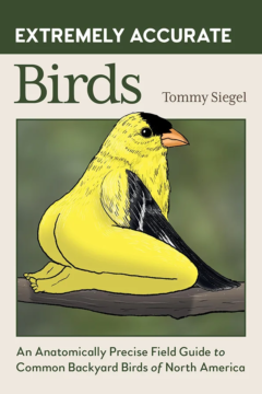 Extremely Accurate Birds